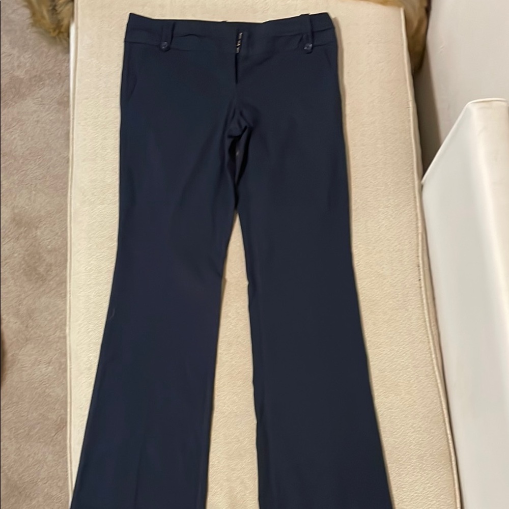 The Limited Exact Stretch Navy Pants. Size 10.